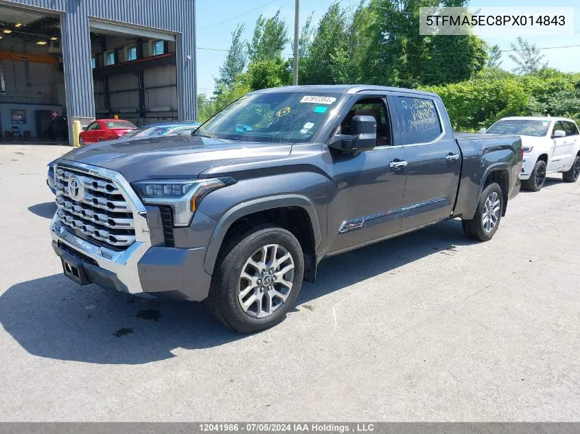 2023 Toyota Tundra Platinum VIN: 5TFMA5EC8PX014843 Lot: 12041986