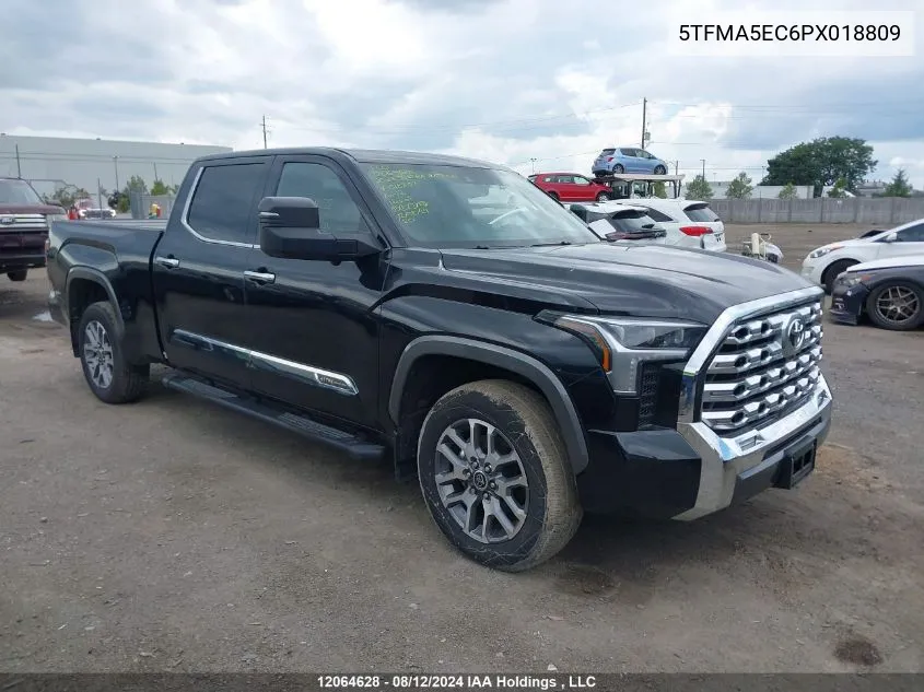 2023 Toyota Tundra Platinum VIN: 5TFMA5EC6PX018809 Lot: 12064628