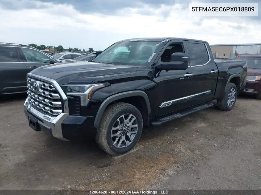 2023 Toyota Tundra Platinum VIN: 5TFMA5EC6PX018809 Lot: 12064628