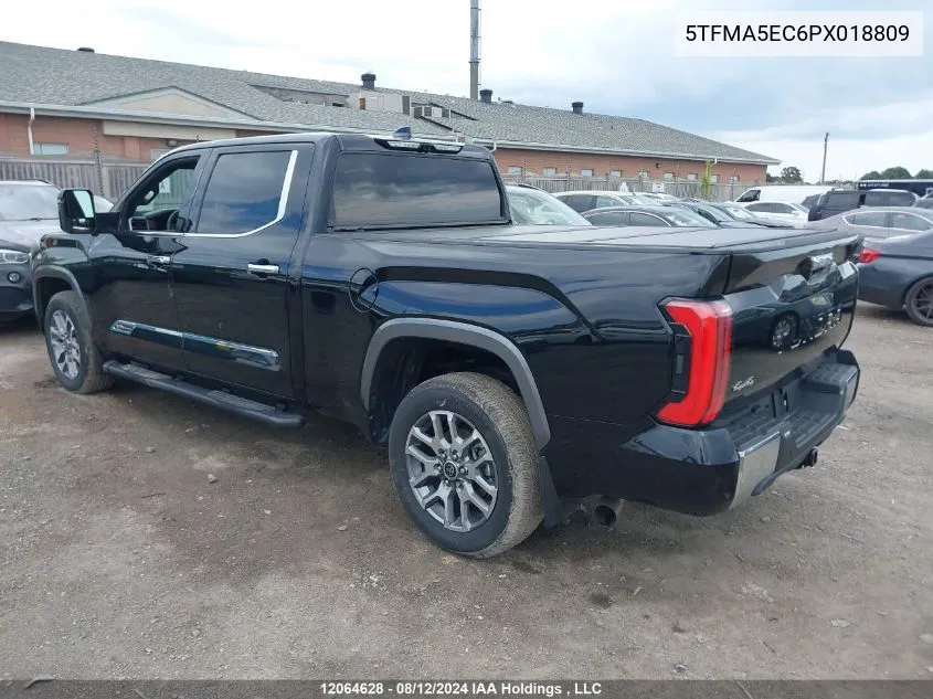 5TFMA5EC6PX018809 2023 Toyota Tundra Platinum