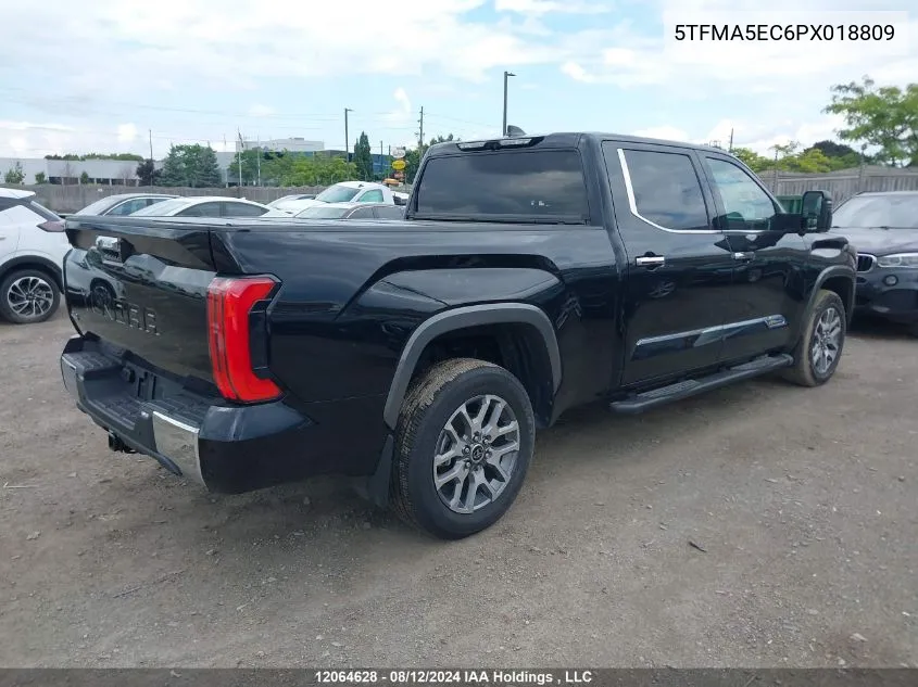 2023 Toyota Tundra Platinum VIN: 5TFMA5EC6PX018809 Lot: 12064628