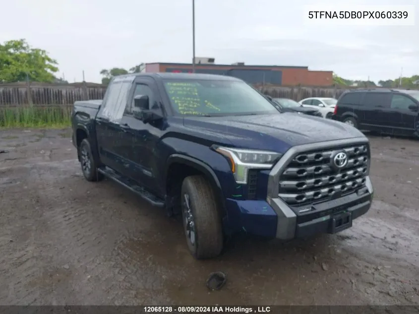 5TFNA5DB0PX060339 2023 Toyota Tundra Platinum