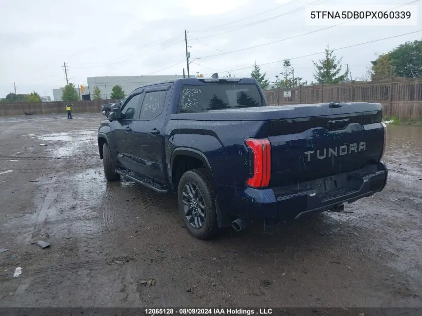 5TFNA5DB0PX060339 2023 Toyota Tundra Platinum