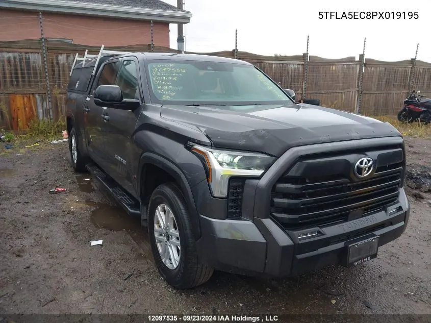 2023 Toyota Tundra Sr5 VIN: 5TFLA5EC8PX019195 Lot: 12097535