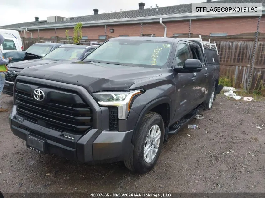 2023 Toyota Tundra Sr5 VIN: 5TFLA5EC8PX019195 Lot: 12097535