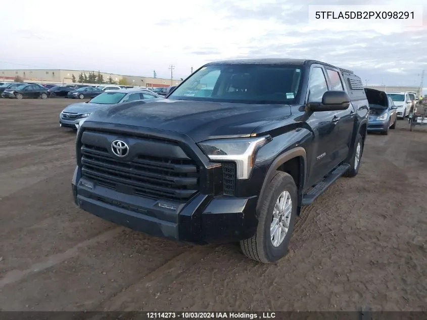 2023 Toyota Tundra Crewmax Sr/Crewmax Sr5 VIN: 5TFLA5DB2PX098291 Lot: 12114273