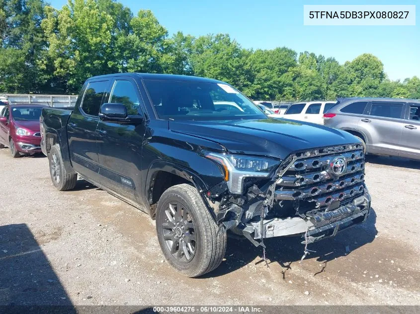 5TFNA5DB3PX080827 2023 Toyota Tundra Platinum