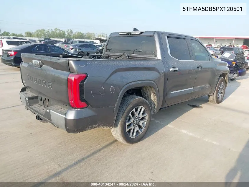 2023 Toyota Tundra 1794 Edition VIN: 5TFMA5DB5PX120501 Lot: 40134247