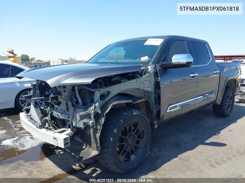 2023 Toyota Tundra 1794 Edition VIN: 5TFMA5DB1PX061818 Lot: 40281823