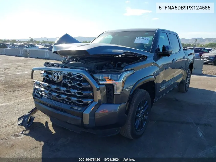 2023 Toyota Tundra Crewmax Platinum/Crewmax 1794 VIN: 5TFNA5DB9PX124586 Lot: 40475420