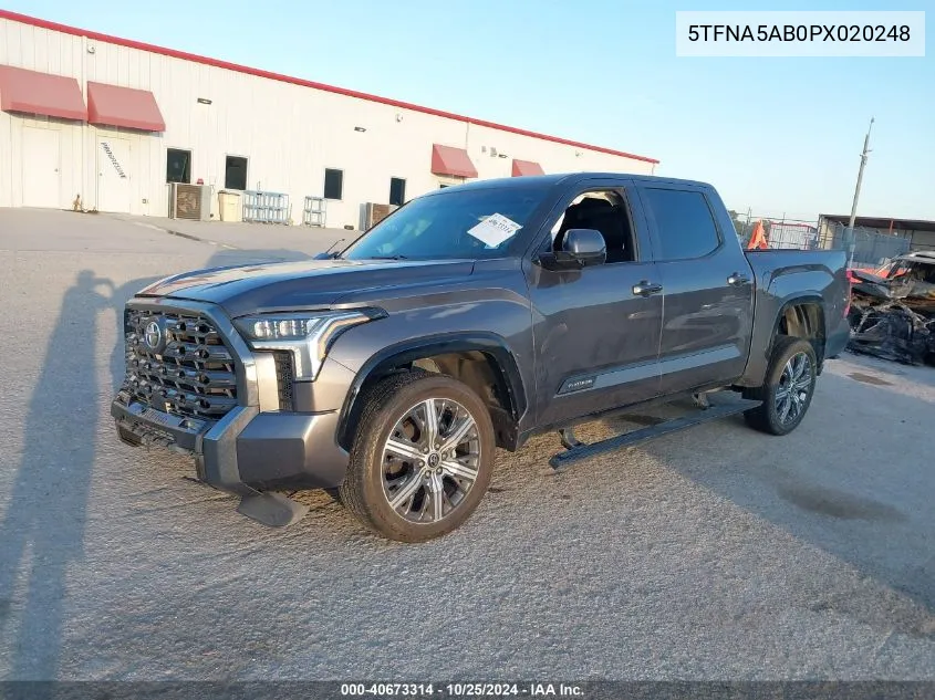 5TFNA5AB0PX020248 2023 Toyota Tundra 2Wd Platinum