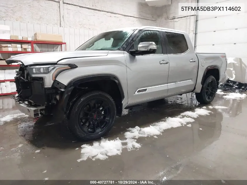 2023 Toyota Tundra 1794 Edition VIN: 5TFMA5DB3PX114602 Lot: 40727781