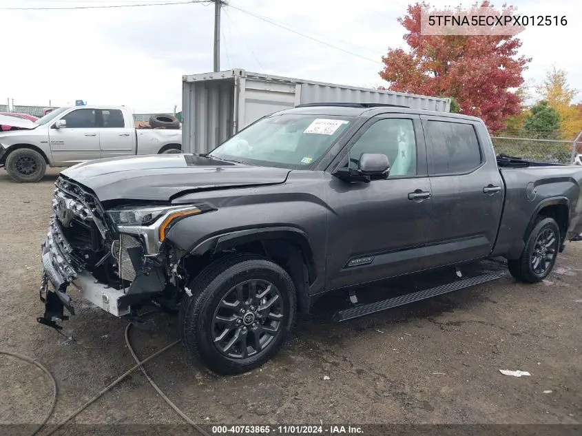 2023 Toyota Tundra Platinum VIN: 5TFNA5ECXPX012516 Lot: 40753865