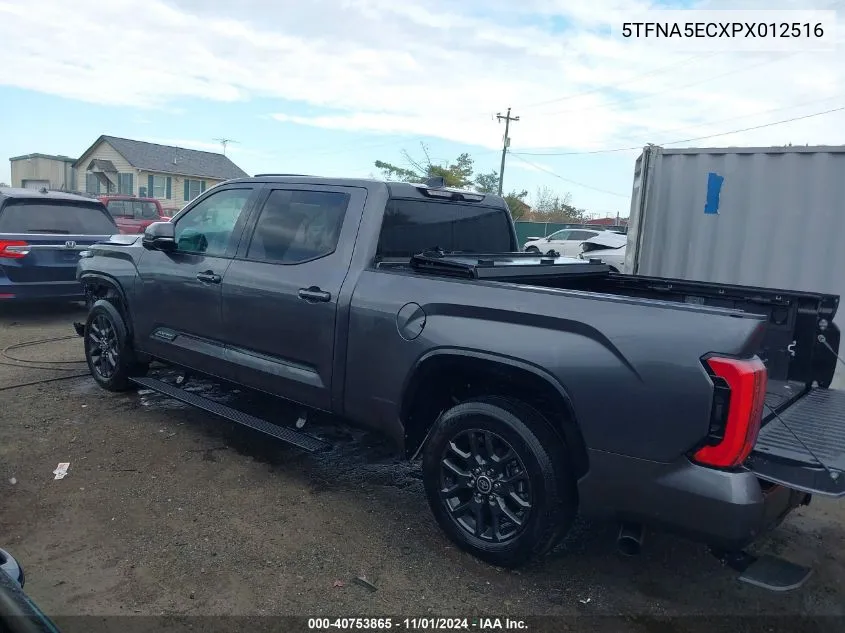 2023 Toyota Tundra Platinum VIN: 5TFNA5ECXPX012516 Lot: 40753865