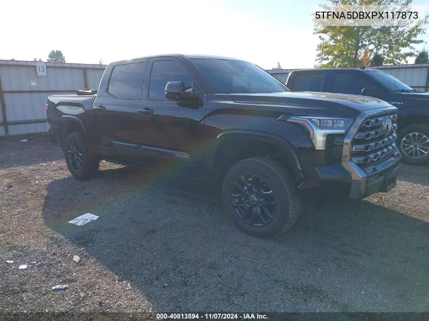 2023 Toyota Tundra Platinum VIN: 5TFNA5DBXPX117873 Lot: 40813594