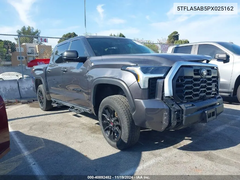 2023 Toyota Tundra Sr5 VIN: 5TFLA5AB5PX025162 Lot: 40892482