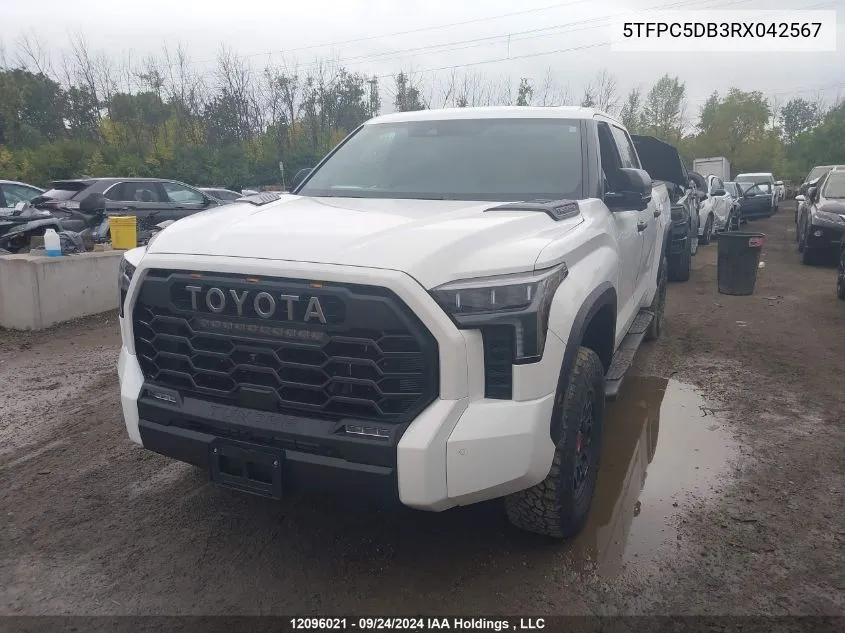 2024 Toyota Tundra Crewmax Limited/Crewmax Trd Pro VIN: 5TFPC5DB3RX042567 Lot: 12096021