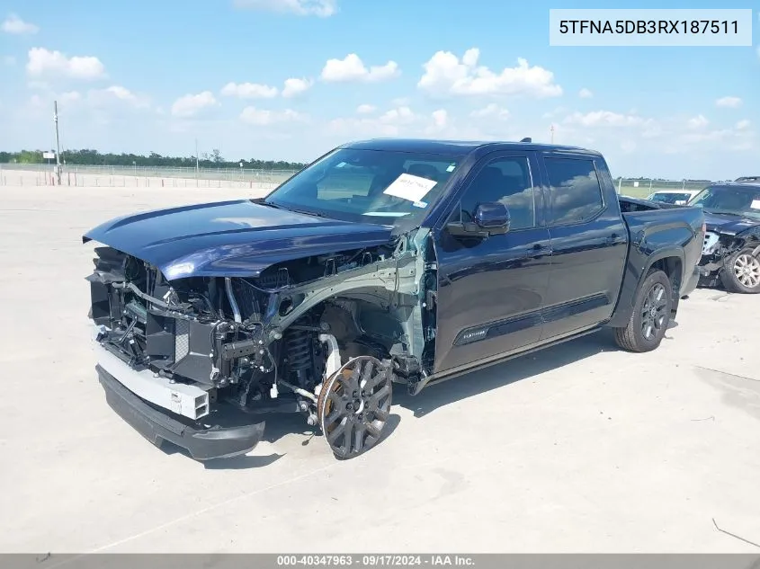 2024 Toyota Tundra Platinum VIN: 5TFNA5DB3RX187511 Lot: 40347963