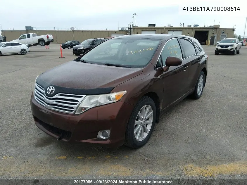 2009 Toyota Venza VIN: 4T3BE11A79U008614 Lot: 20177086