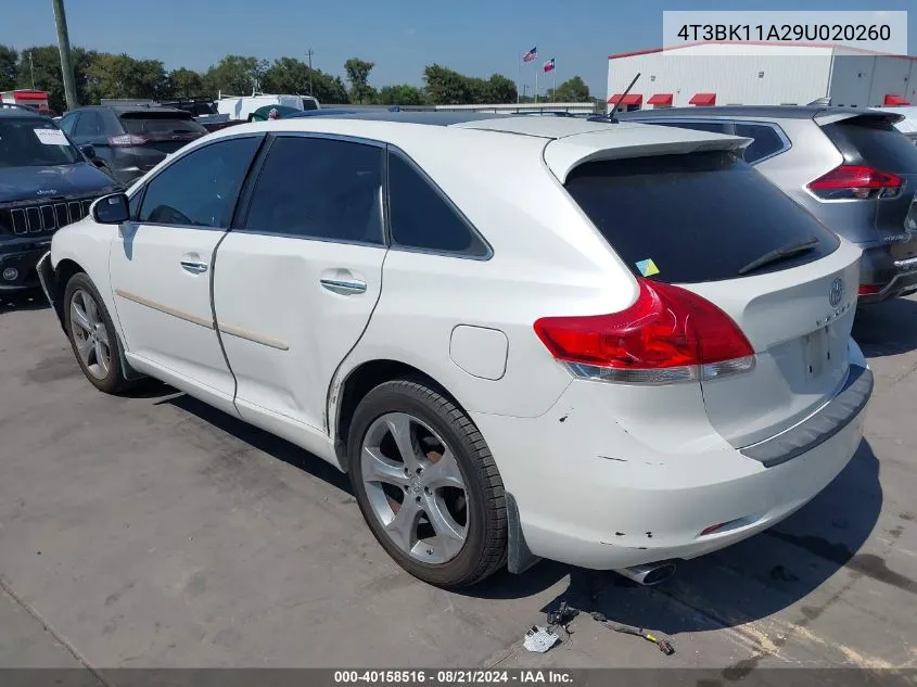 4T3BK11A29U020260 2009 Toyota Venza