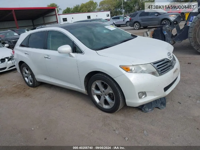 4T3BK11A59U004487 2009 Toyota Venza