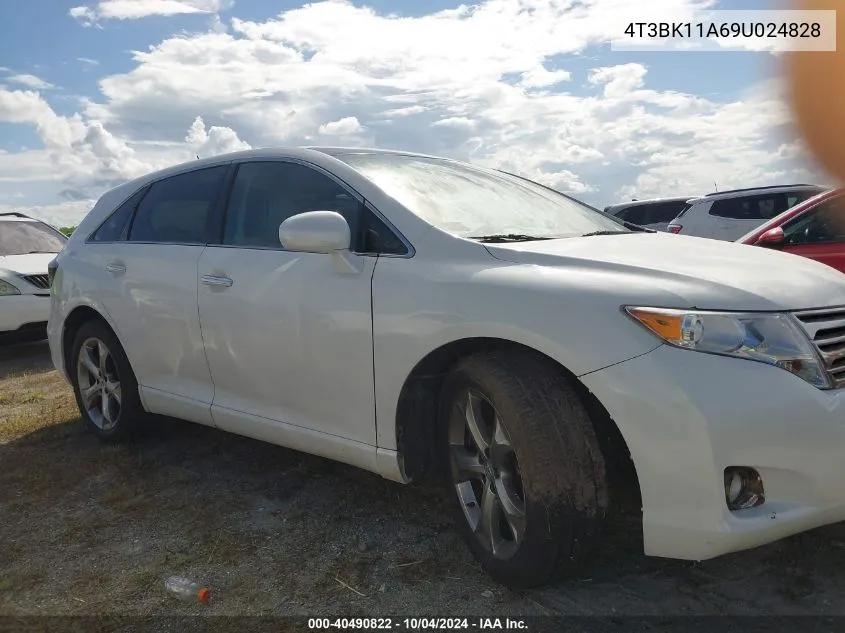 2009 Toyota Venza Base V6 VIN: 4T3BK11A69U024828 Lot: 40490822