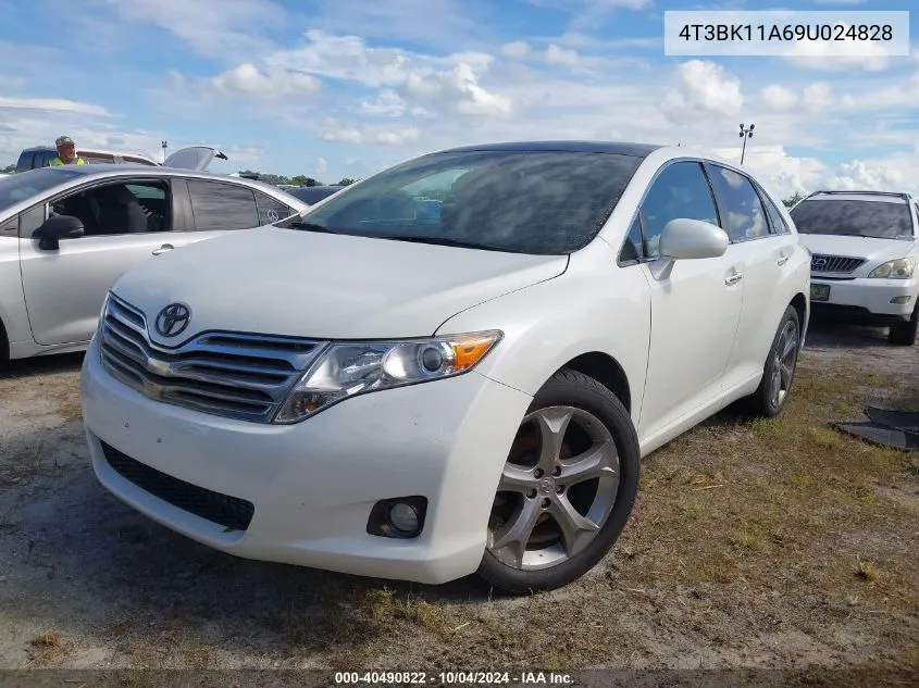 2009 Toyota Venza Base V6 VIN: 4T3BK11A69U024828 Lot: 40490822