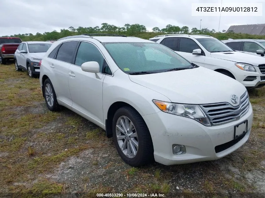 2009 Toyota Venza VIN: 4T3ZE11A09U012812 Lot: 40533290