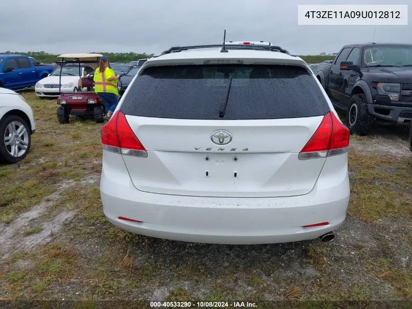 2009 Toyota Venza VIN: 4T3ZE11A09U012812 Lot: 40533290