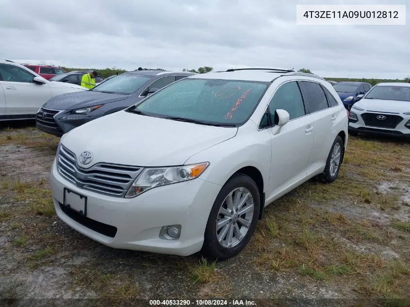 2009 Toyota Venza VIN: 4T3ZE11A09U012812 Lot: 40533290