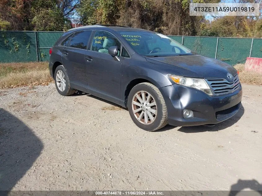 2009 Toyota Venza VIN: 4T3ZE11A59U019819 Lot: 40744878