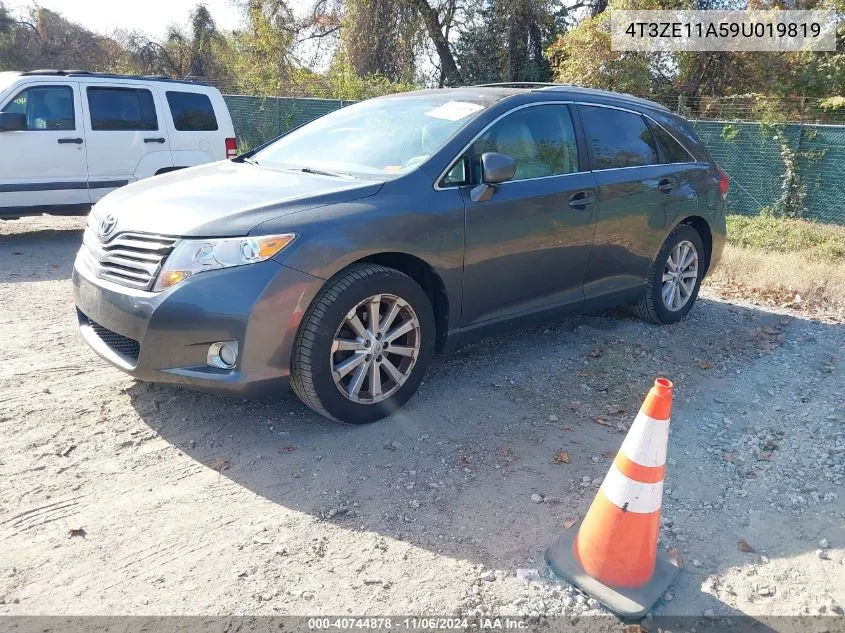 2009 Toyota Venza VIN: 4T3ZE11A59U019819 Lot: 40744878