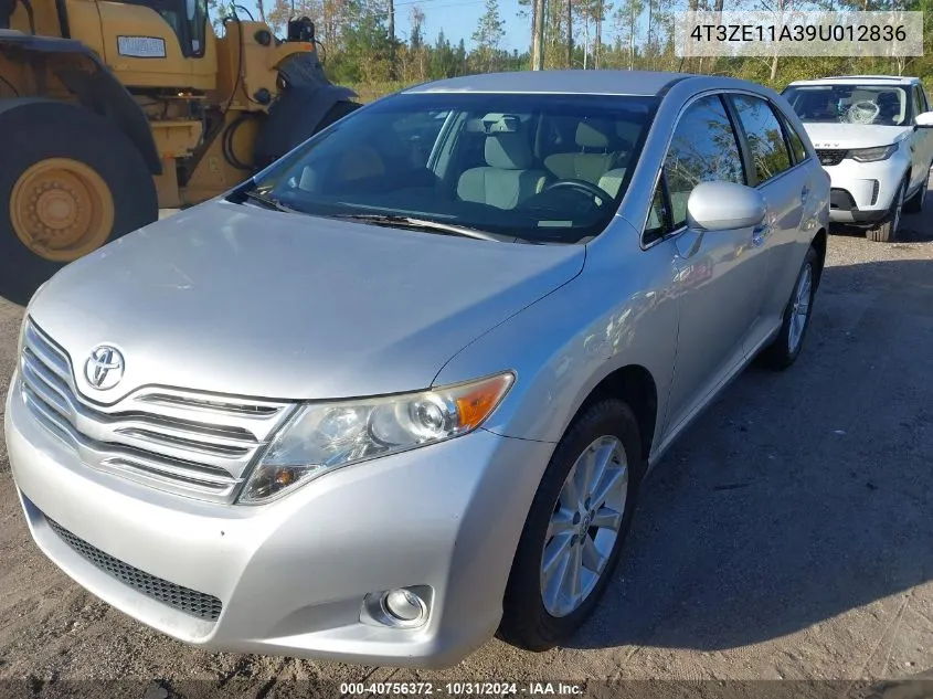 2009 Toyota Venza VIN: 4T3ZE11A39U012836 Lot: 40756372