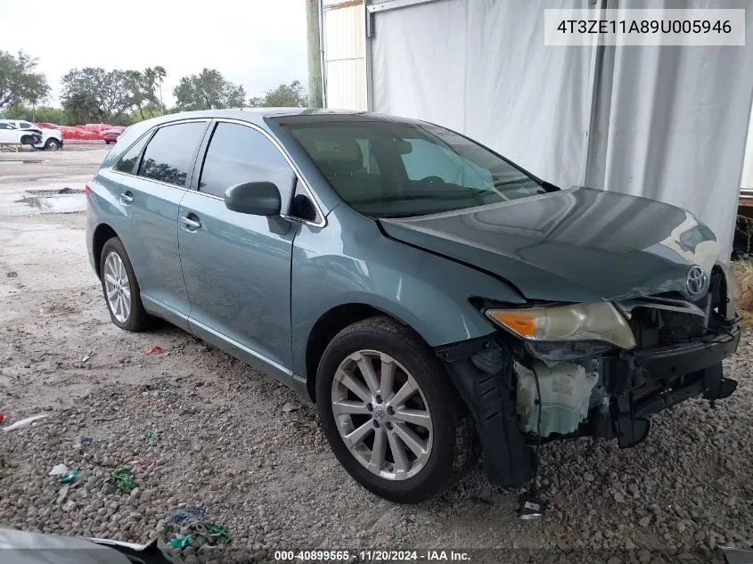 2009 Toyota Venza VIN: 4T3ZE11A89U005946 Lot: 40899565