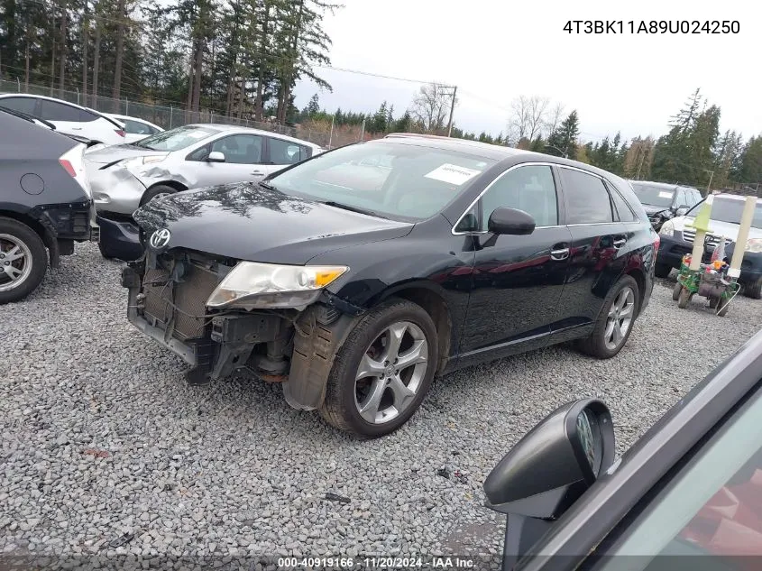 2009 Toyota Venza Base V6 VIN: 4T3BK11A89U024250 Lot: 40919166