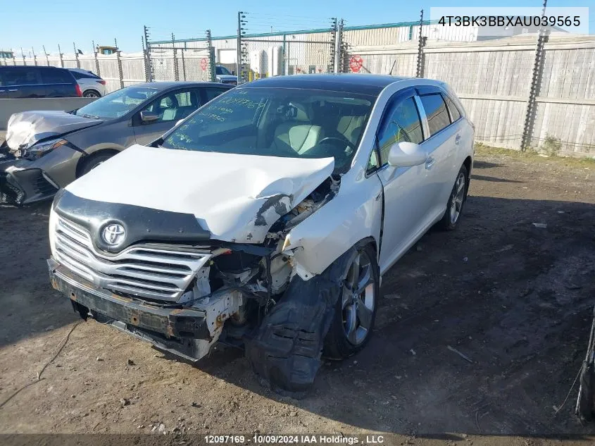 2010 Toyota Venza VIN: 4T3BK3BBXAU039565 Lot: 12097169