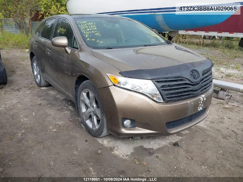 2010 Toyota Venza VIN: 4T3ZK3BB8AU029065 Lot: 12119951