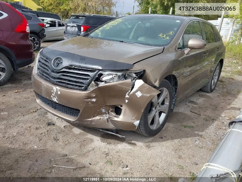 2010 Toyota Venza VIN: 4T3ZK3BB8AU029065 Lot: 12119951