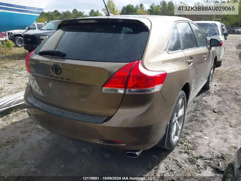 2010 Toyota Venza VIN: 4T3ZK3BB8AU029065 Lot: 12119951