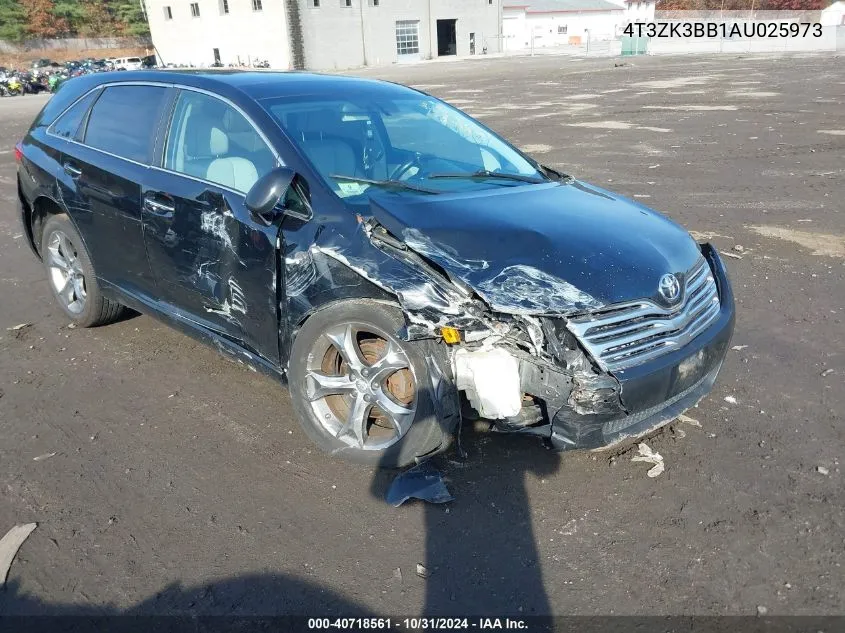 2010 Toyota Venza Base V6 VIN: 4T3ZK3BB1AU025973 Lot: 40718561