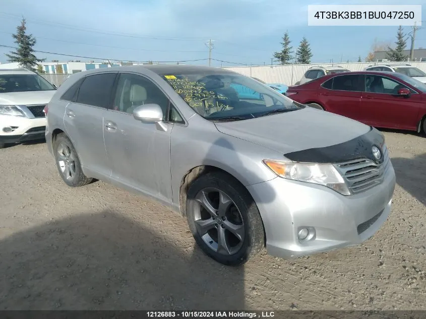 2011 Toyota Venza VIN: 4T3BK3BB1BU047250 Lot: 12126883