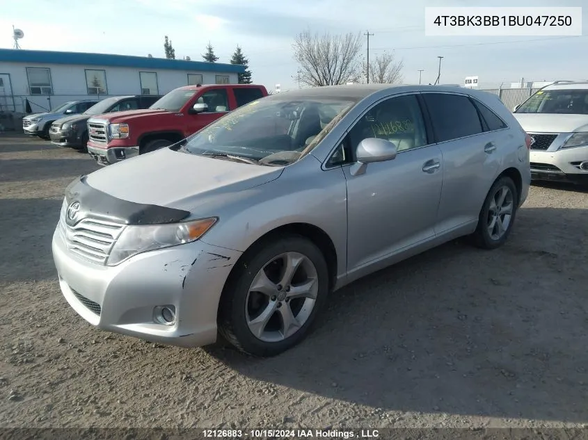 2011 Toyota Venza VIN: 4T3BK3BB1BU047250 Lot: 12126883