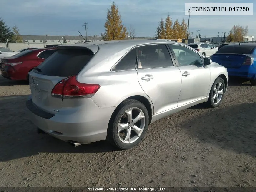 2011 Toyota Venza VIN: 4T3BK3BB1BU047250 Lot: 12126883