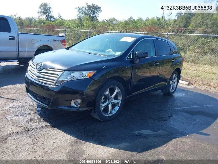 2011 Toyota Venza VIN: 4T3ZK3BB6BU036808 Lot: 40676506