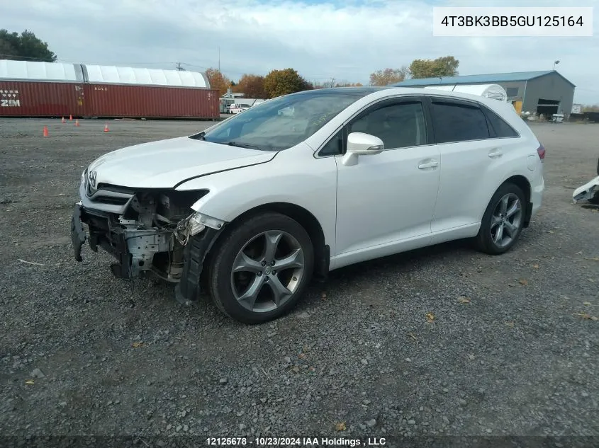 2016 Toyota Venza Base V6 VIN: 4T3BK3BB5GU125164 Lot: 12125678