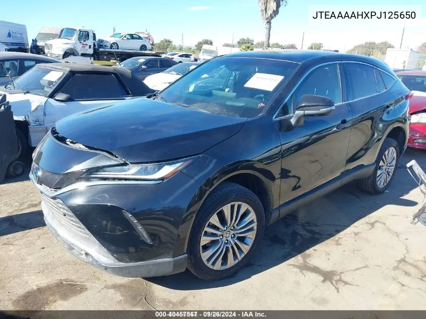 2023 Toyota Venza Limited VIN: JTEAAAAHXPJ125650 Lot: 40457567