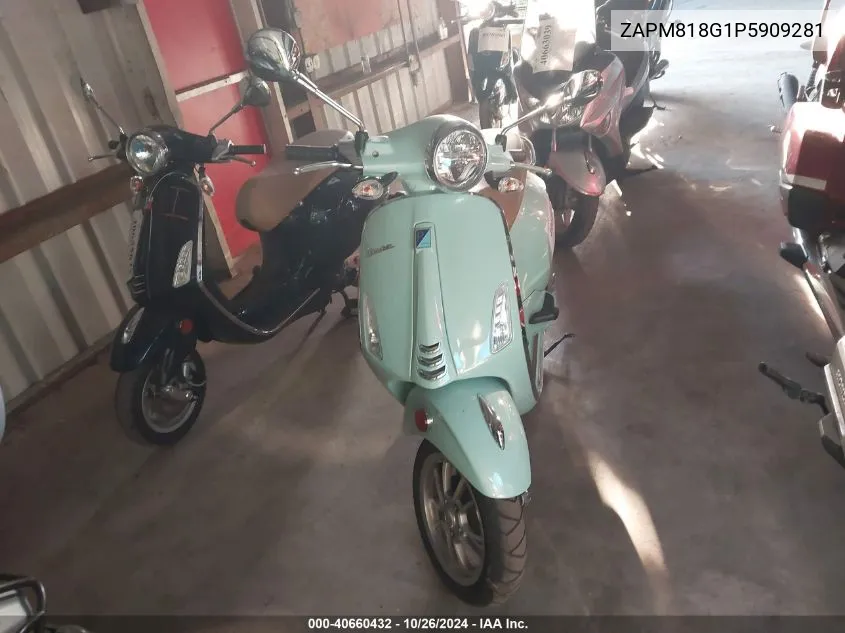 2023 Vespa Primavera/Sprint 150 VIN: ZAPM818G1P5909281 Lot: 40660432