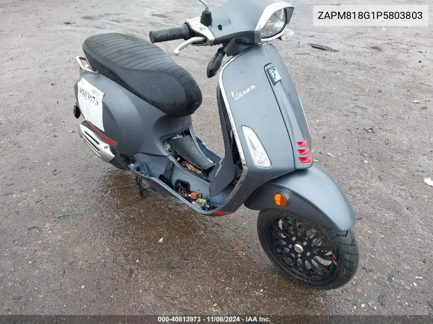 2023 Vespa Primavera/Sprint 150 VIN: ZAPM818G1P5803803 Lot: 40813973