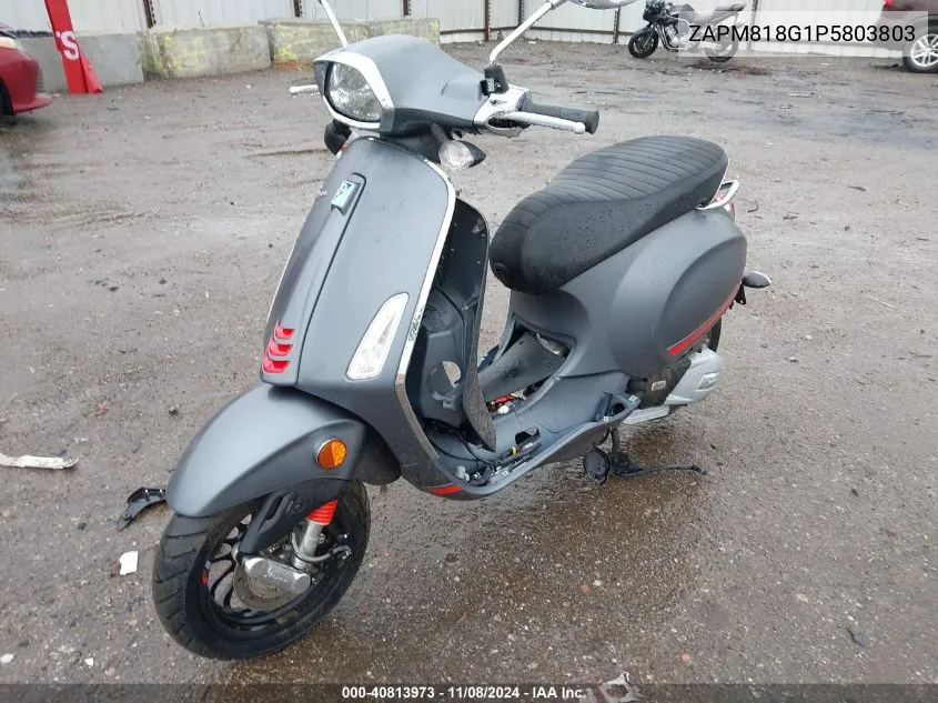 2023 Vespa Primavera/Sprint 150 VIN: ZAPM818G1P5803803 Lot: 40813973