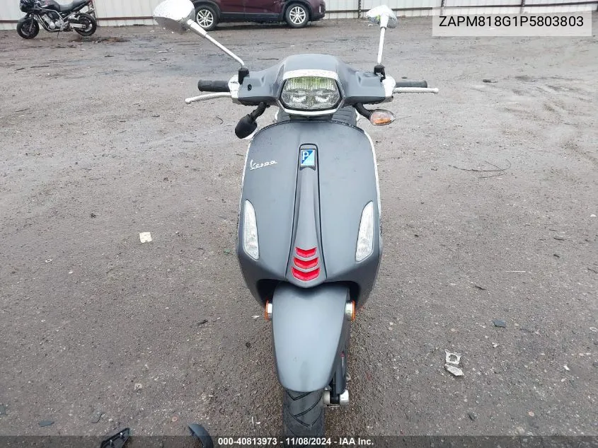 2023 Vespa Primavera/Sprint 150 VIN: ZAPM818G1P5803803 Lot: 40813973